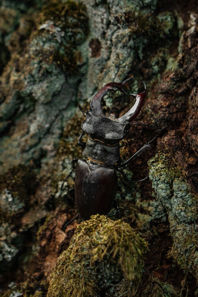 Фотография автора Виктория Трущенко