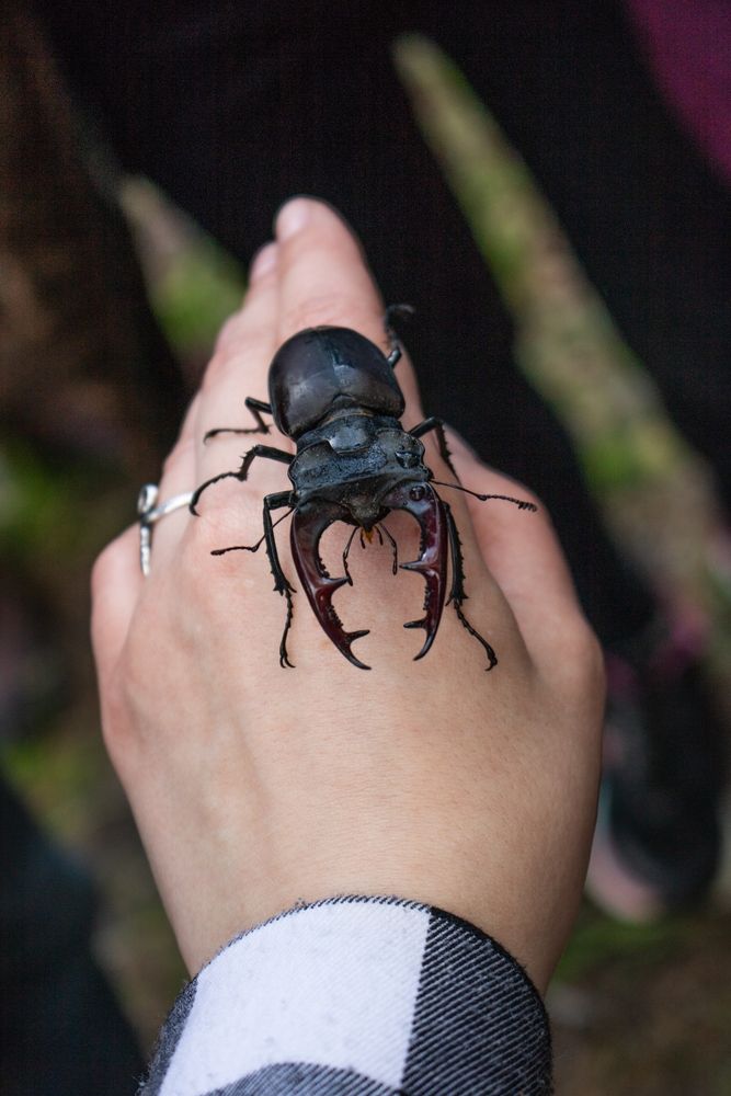 Фотография автора Виктория Трущенко