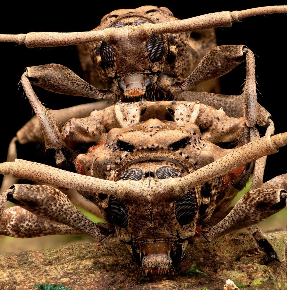 Фотография автора Eduardo Salvador Cabrera