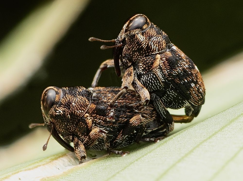 Фотография автора Eduardo Salvador Cabrera