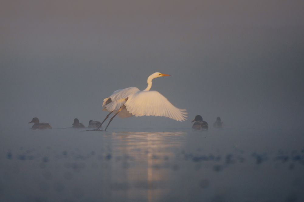 Photograph by Кривцов Андрей