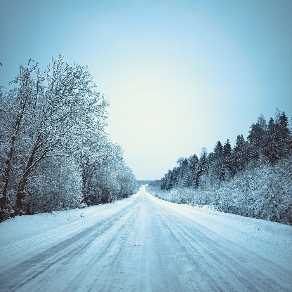 Photograph by Мария Дзюба