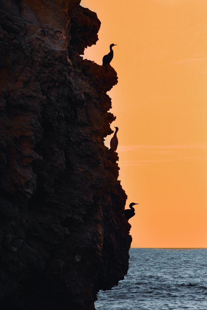 Photograph by Кривцов Андрей