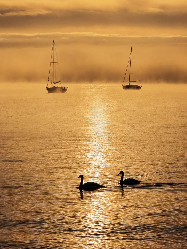 Photograph by Кривцов Андрей