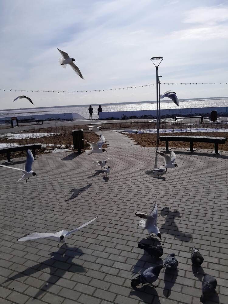 Photograph by Виталий Глазачев