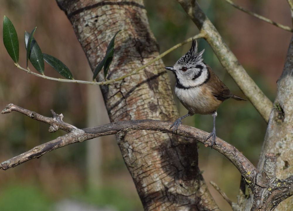 Photograph by Regina Belomytseva-Dahan