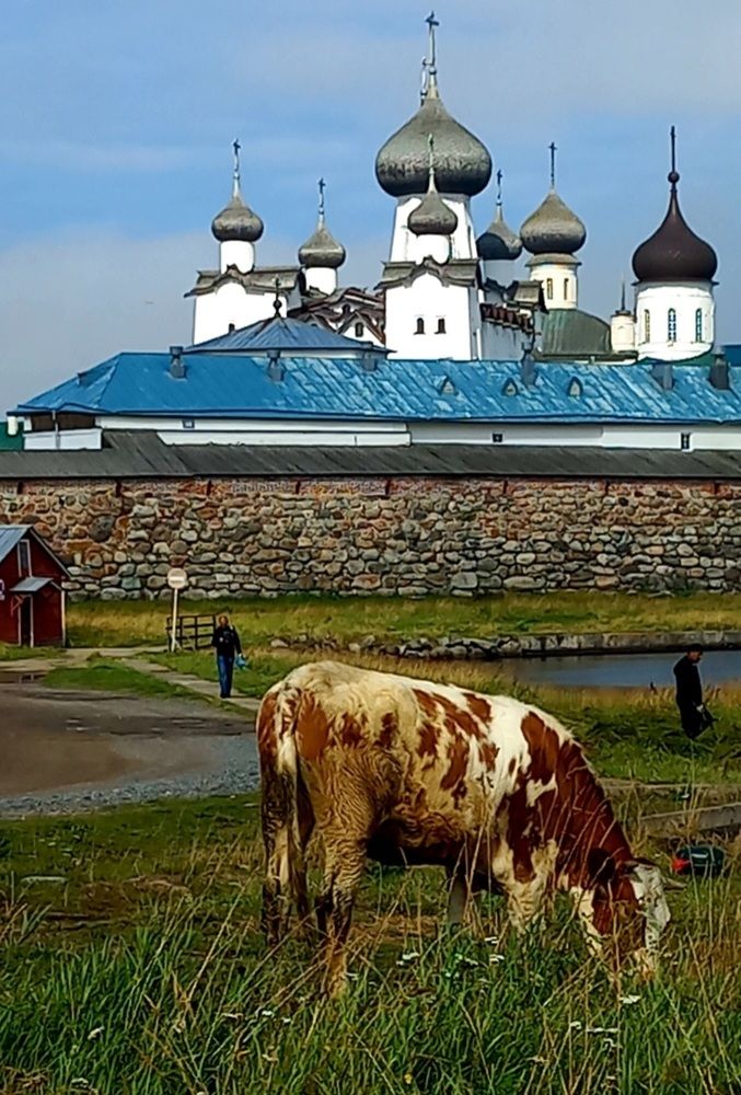 Photograph by Евгений Савулькин