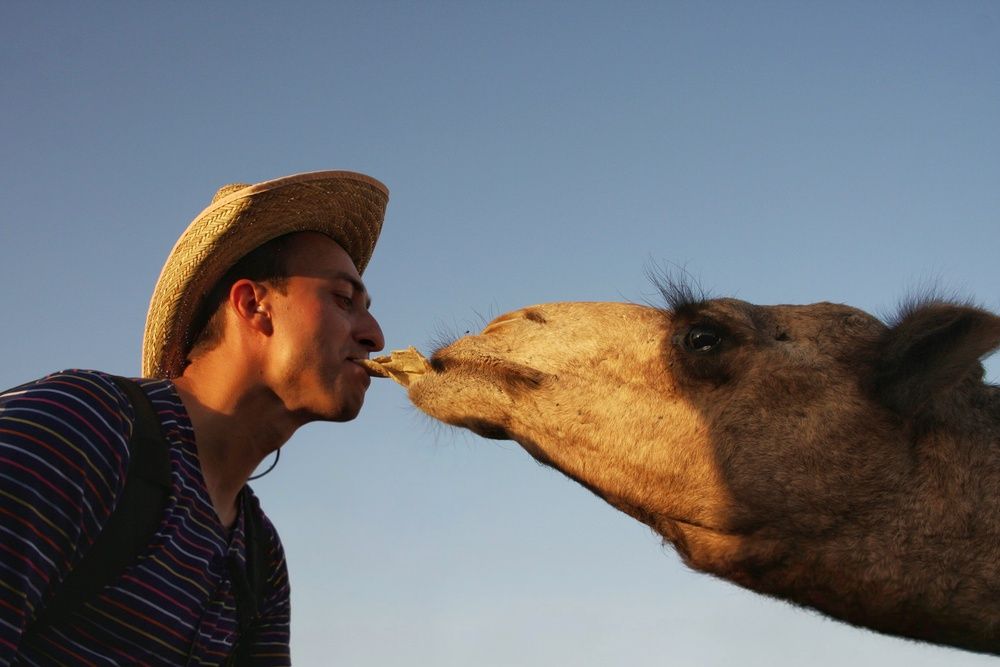 Photograph by Микрокосмос Владимир