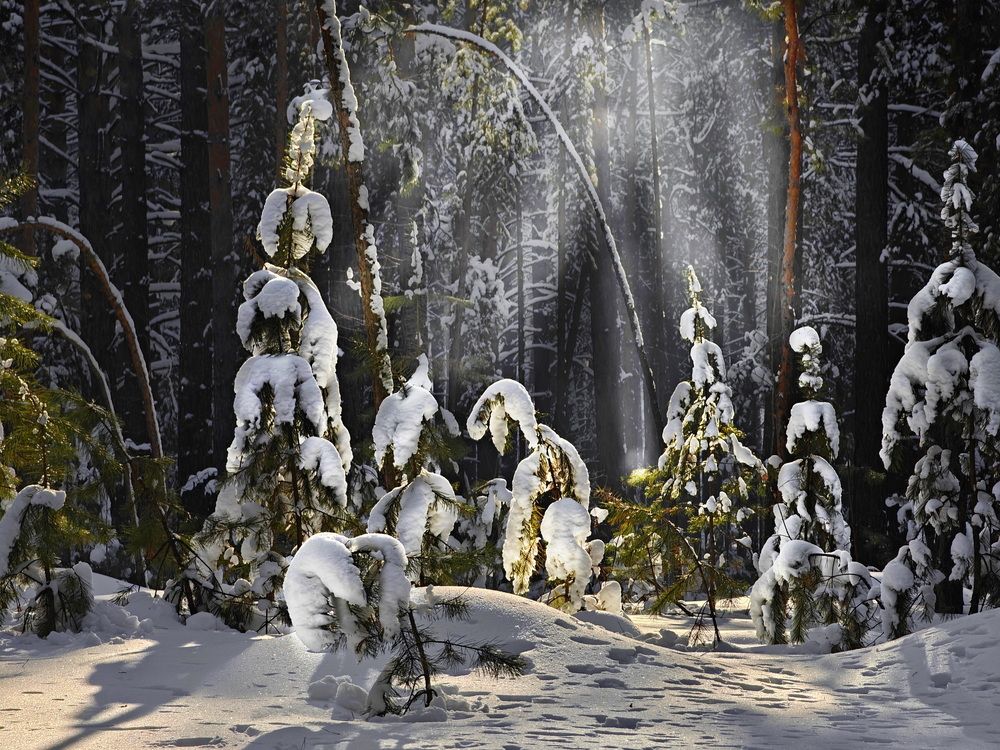 Фотография автора Дмитрий Кузнецов