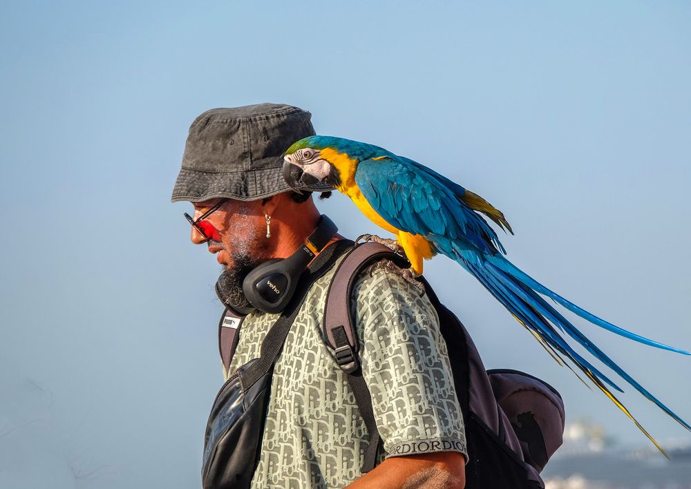 Фотография автора Наталья Липовская
