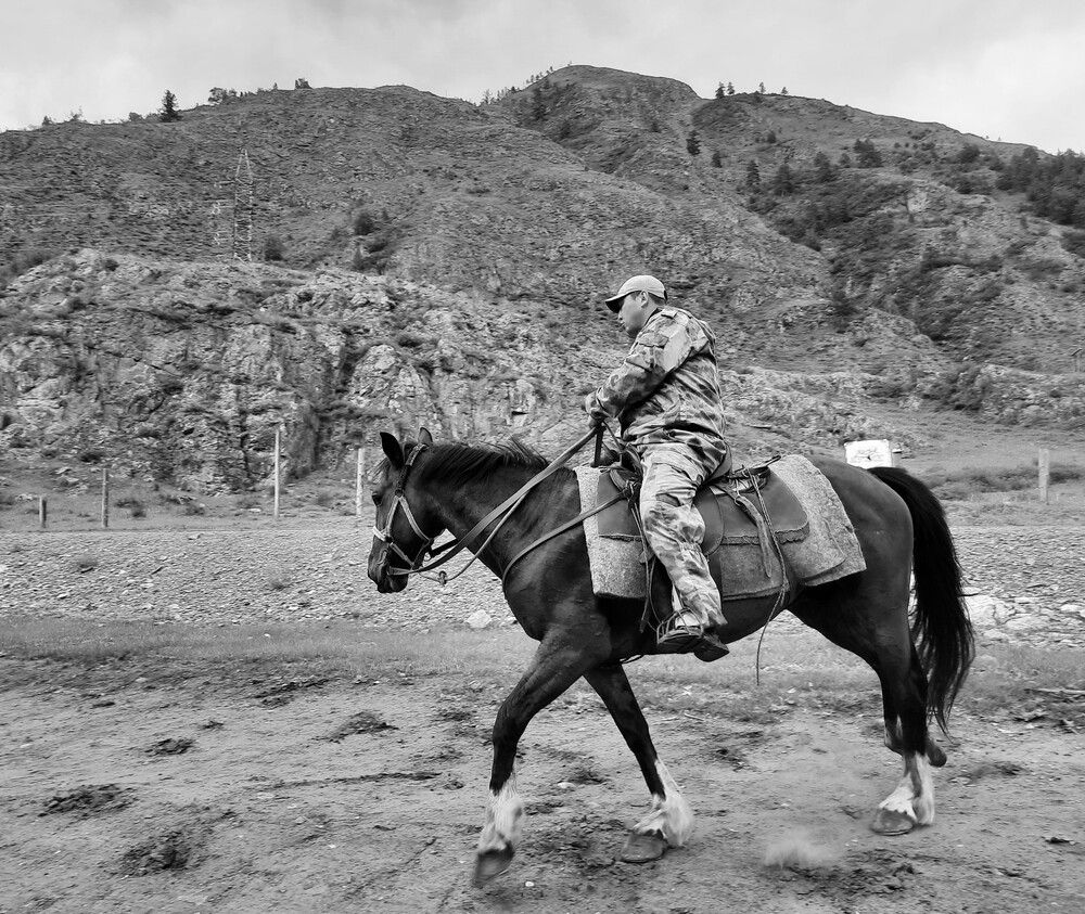 Photograph by Елена Пикатова