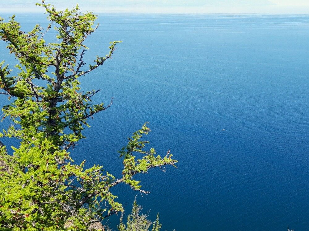 Фотография автора Елена Пикатова