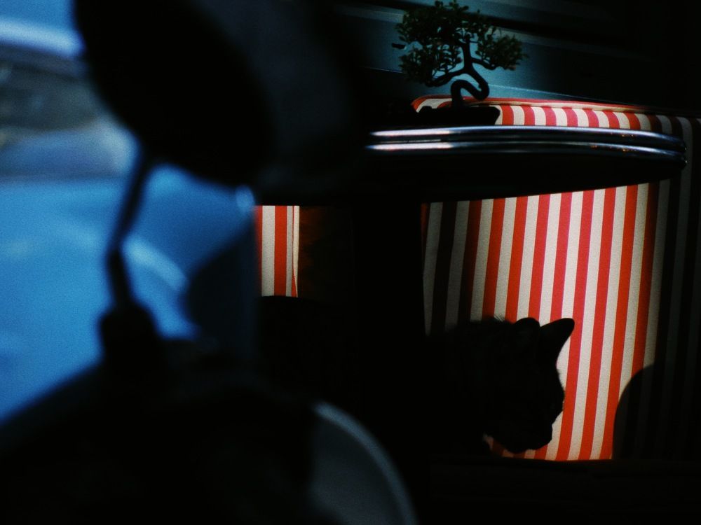 Photograph by Никита Сухоруков