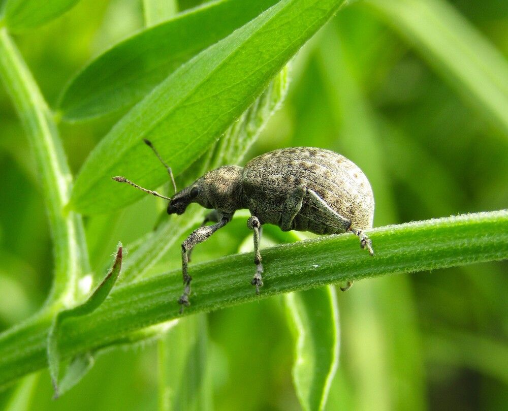 Photograph by Светлана Андреева