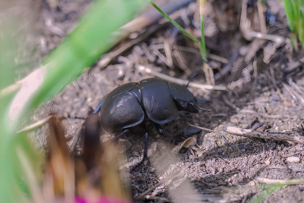 Photograph by Ирина Шибитова