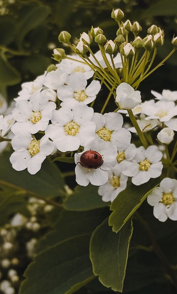 Photograph by Савина Анастасия Николаевна