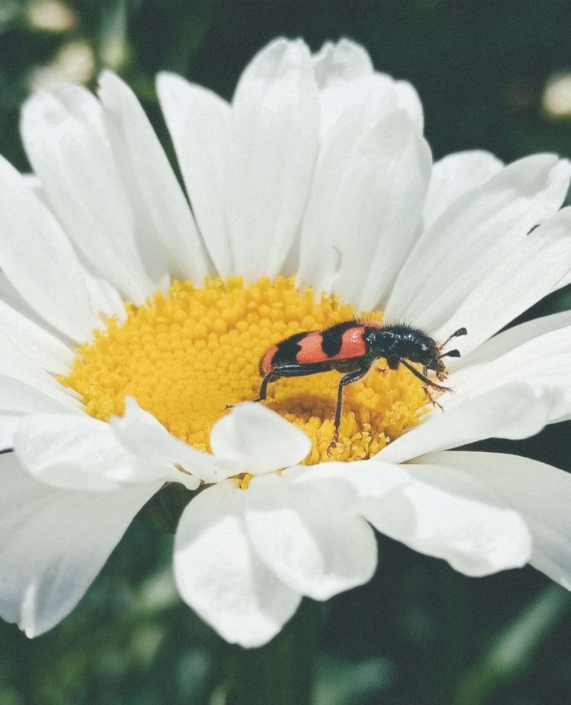 Photograph by Савина Анастасия Николаевна