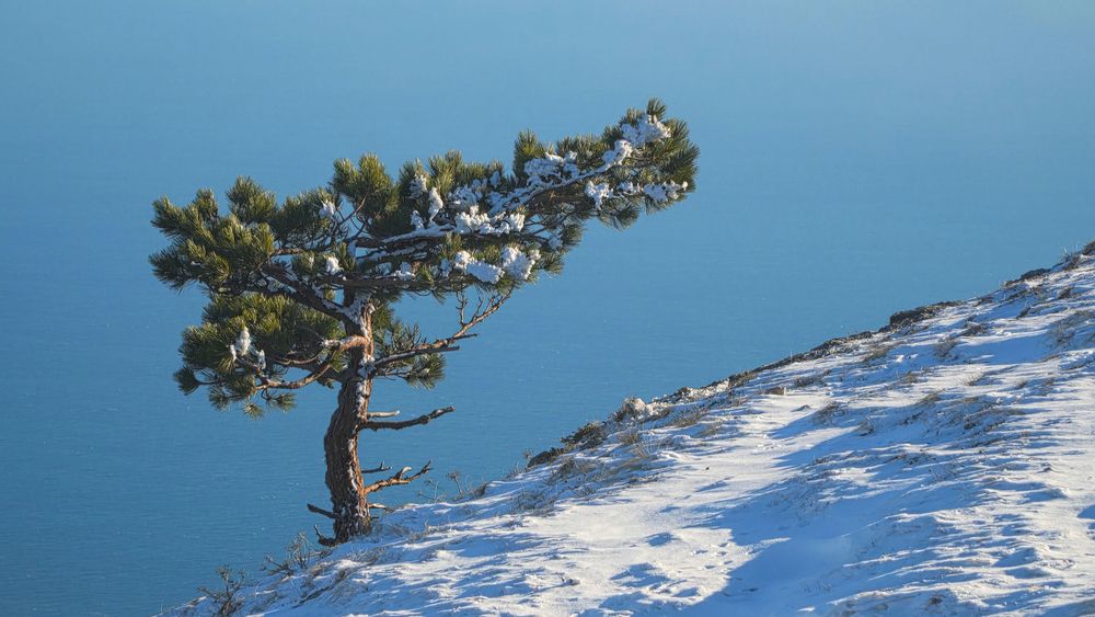 Photograph by Igor  Nosulenko