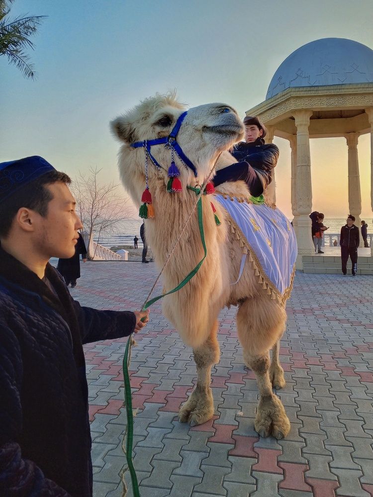 Photograph by Ольга Куцева