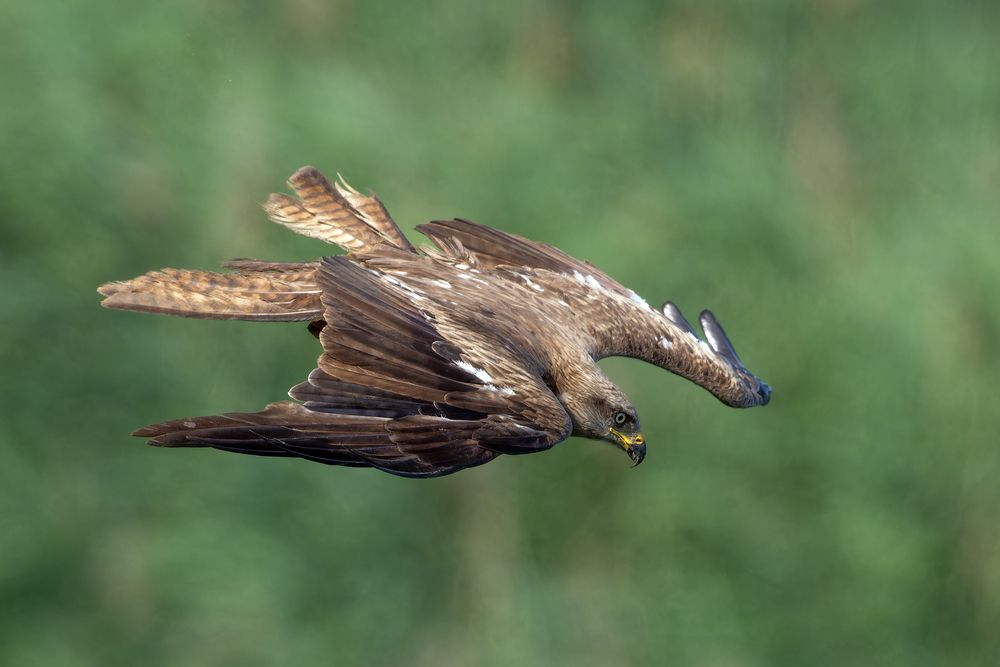 Photograph by Владимир Зайцев