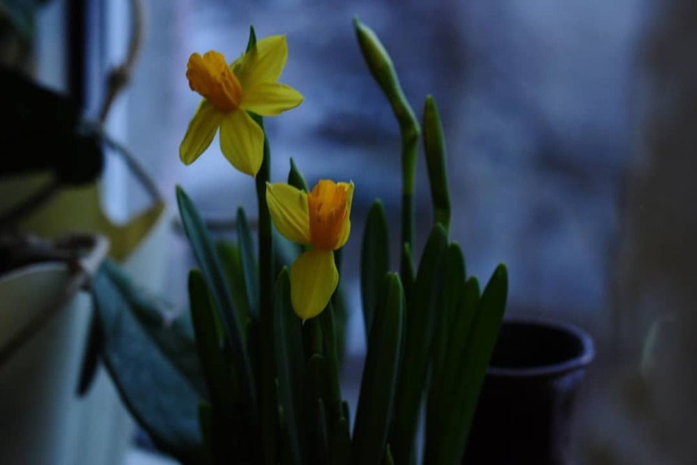 Фотография автора Хлопенко Елена Васильевна