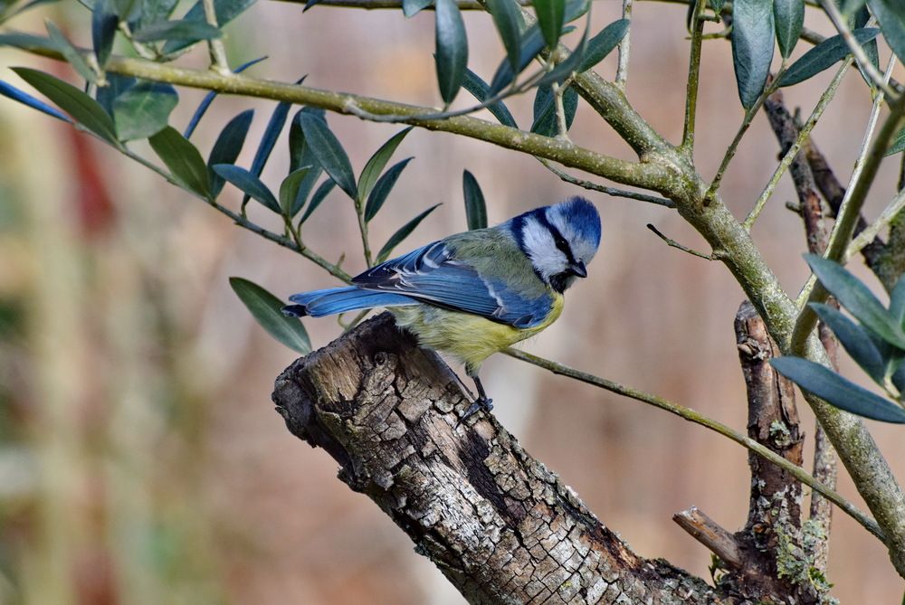 Photograph by Regina Belomytseva-Dahan