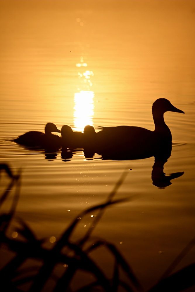 Фотография автора Егор Жук