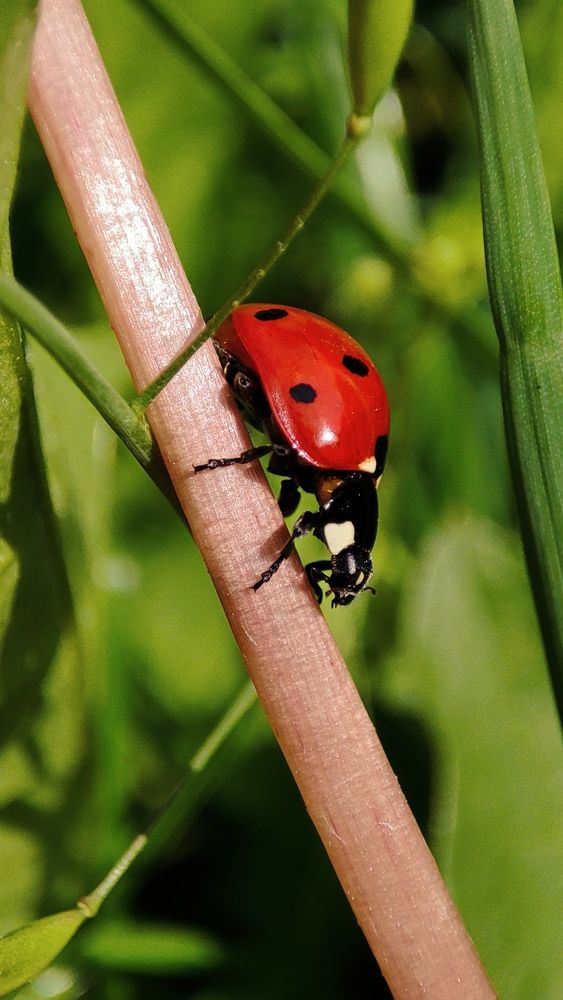 Photograph by Ольга Антонюк