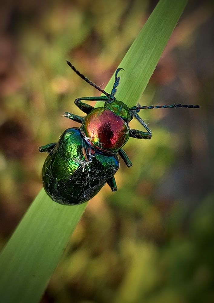 Photograph by Ольга Куцева