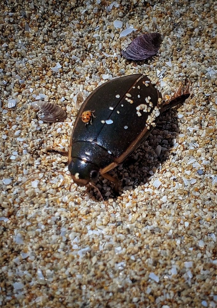 Photograph by Ольга Куцева