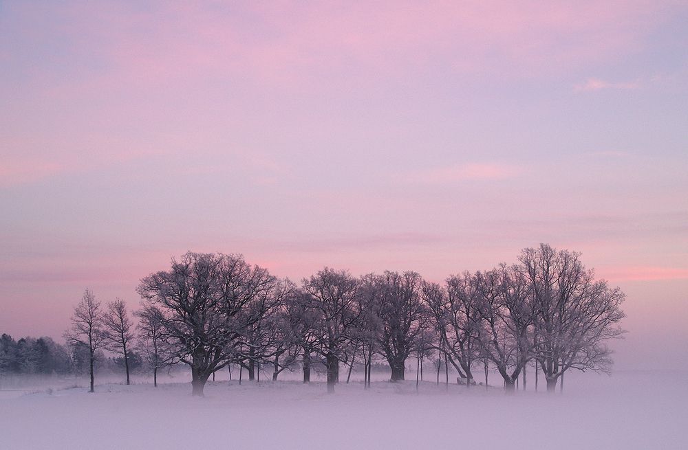 Photograph by Allan Wallberg