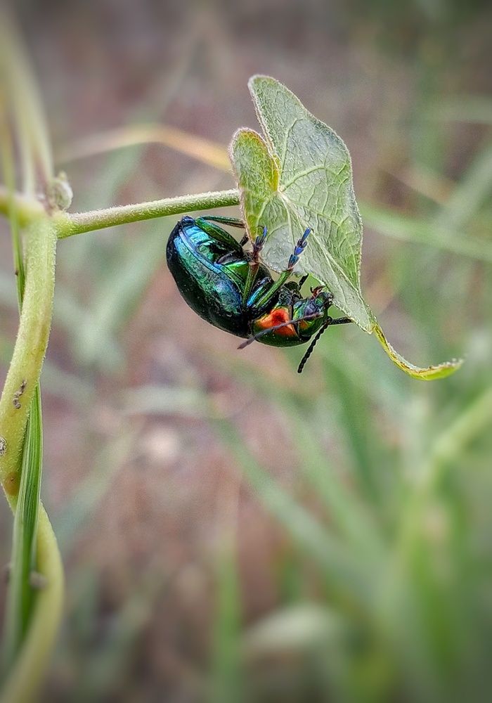 Photograph by Ольга Куцева