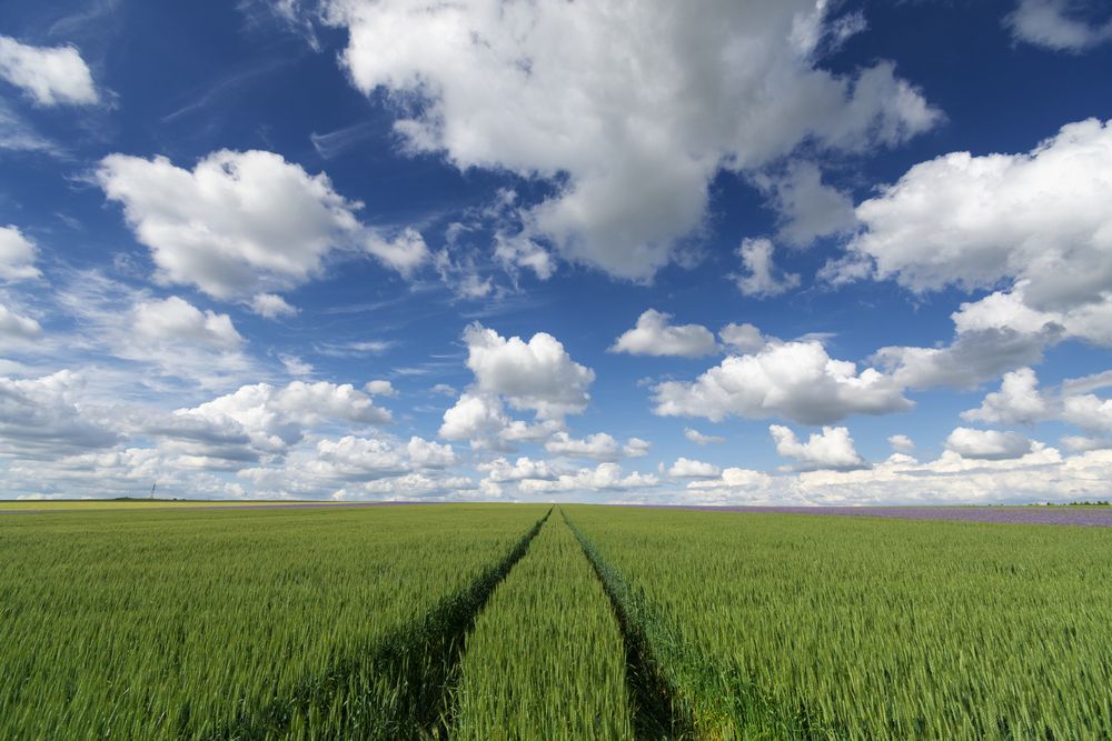 Photograph by Zoltan Gelencser