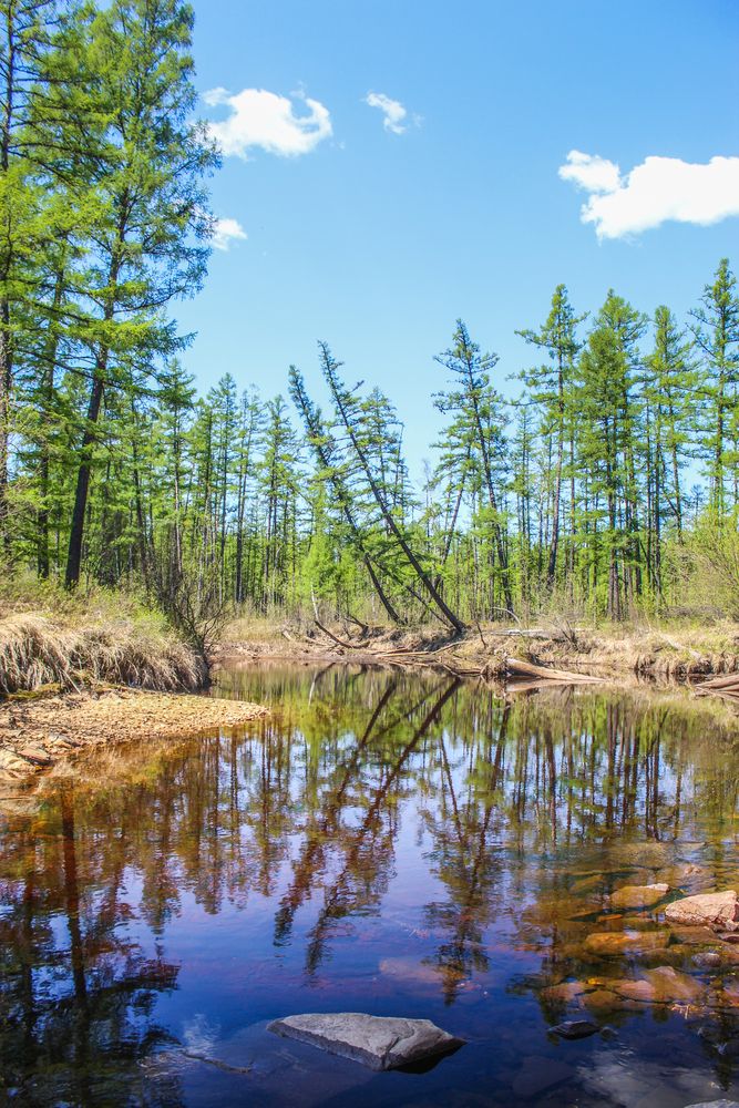 Photograph by Михаил Мархинин