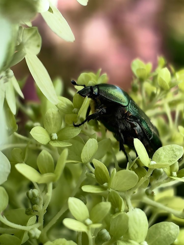 Photograph by Юлия Горелова