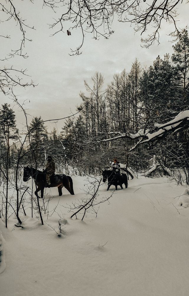 Photograph by Людмила Горячева