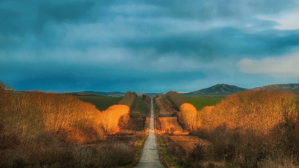 Photograph by Головнина Анастасия