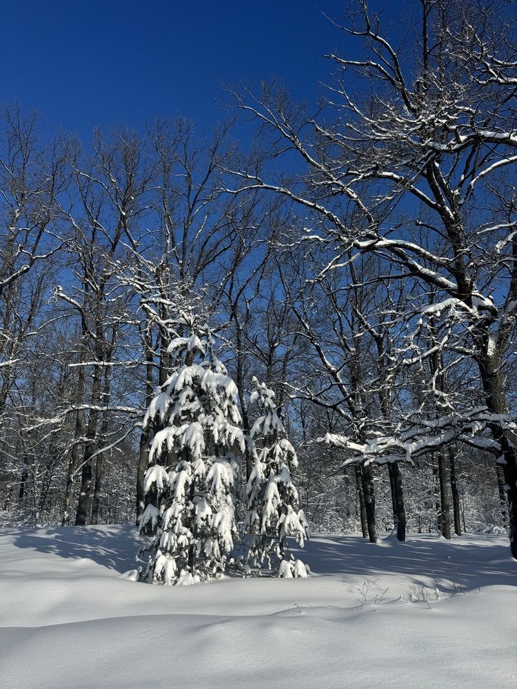 Фотография автора Илья Панкратов