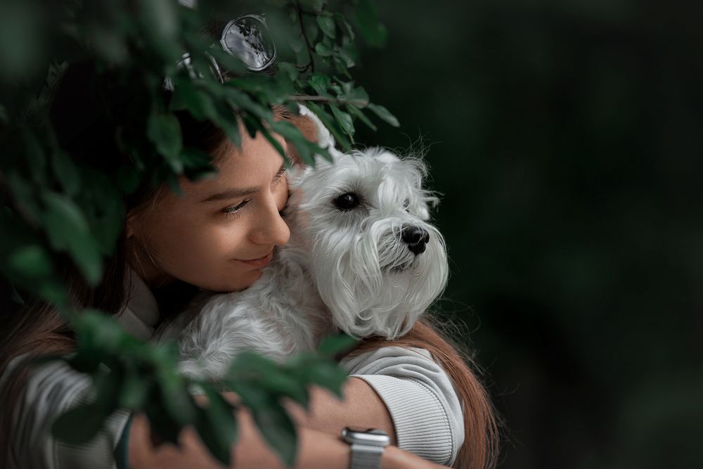 Photograph by Зубкова Юлия