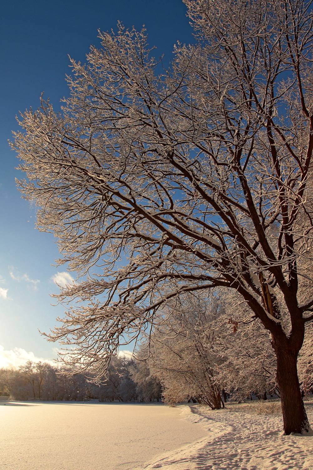 Фотография #13187464