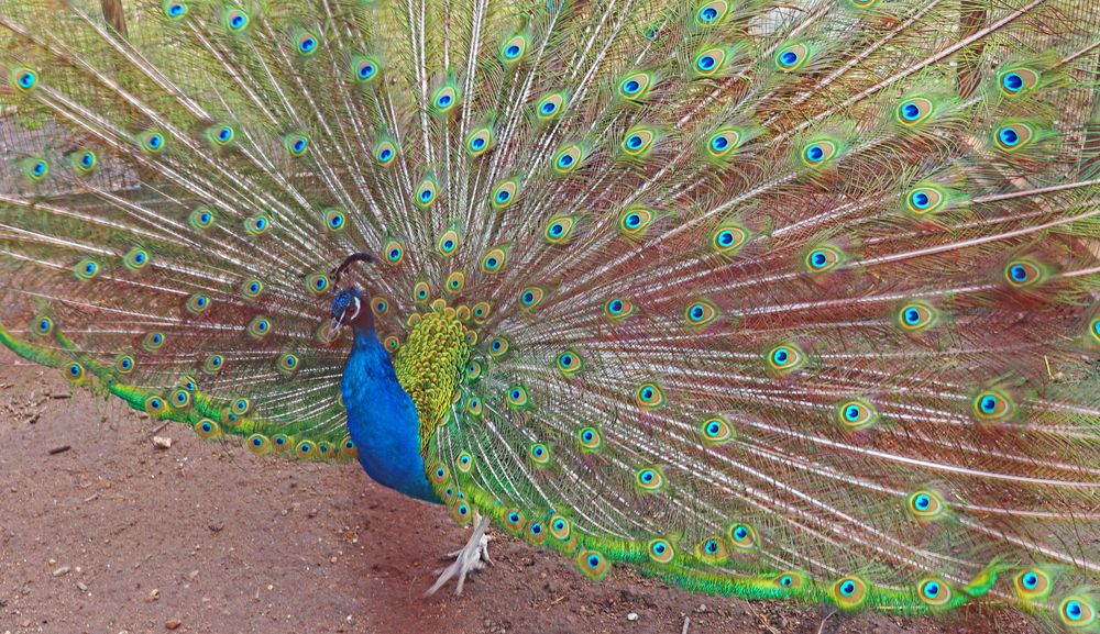 Photograph by Татьяна Пашинцева