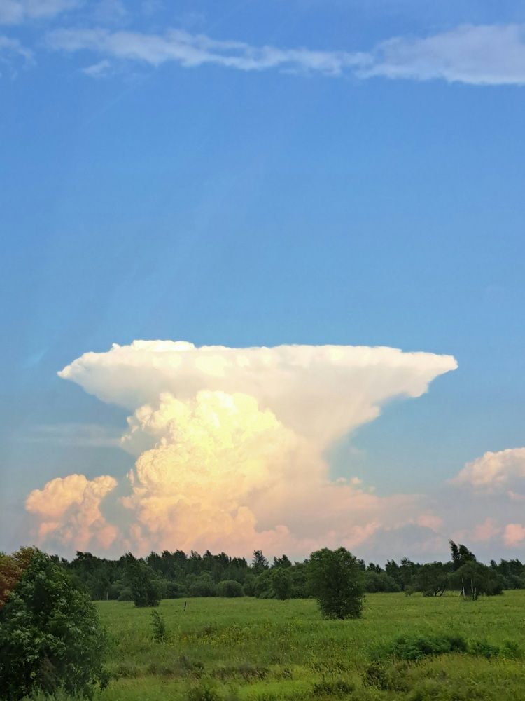 Photograph by Любовь Войтишина