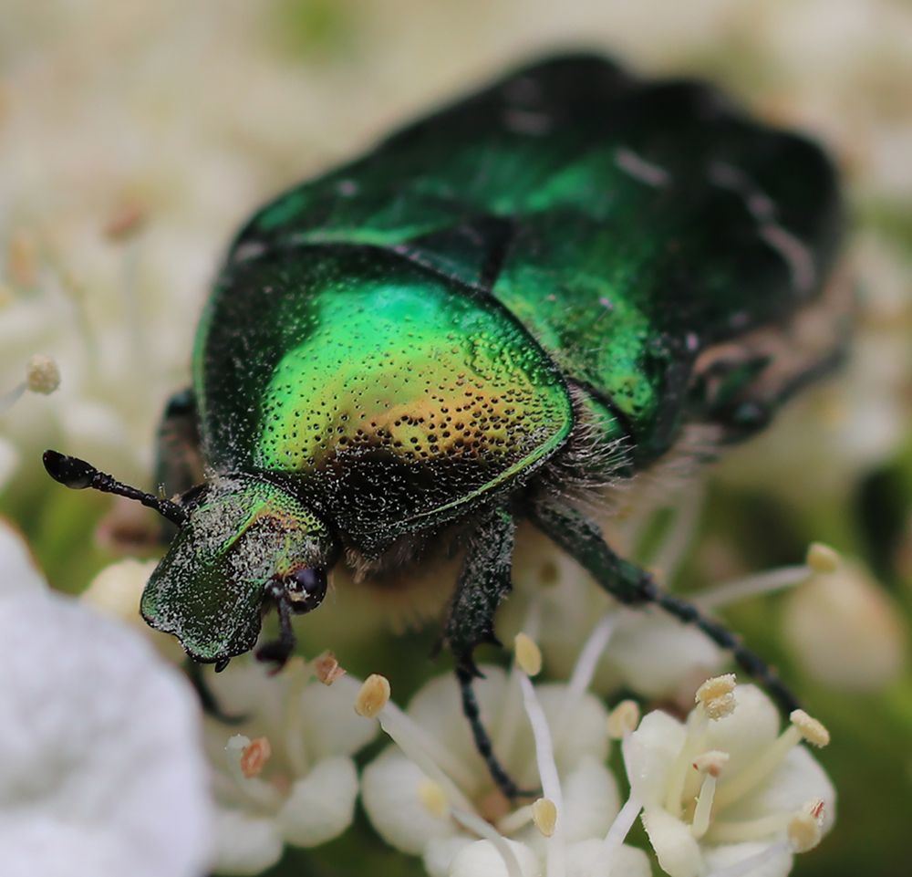 Photograph by Татьяна Пашинцева