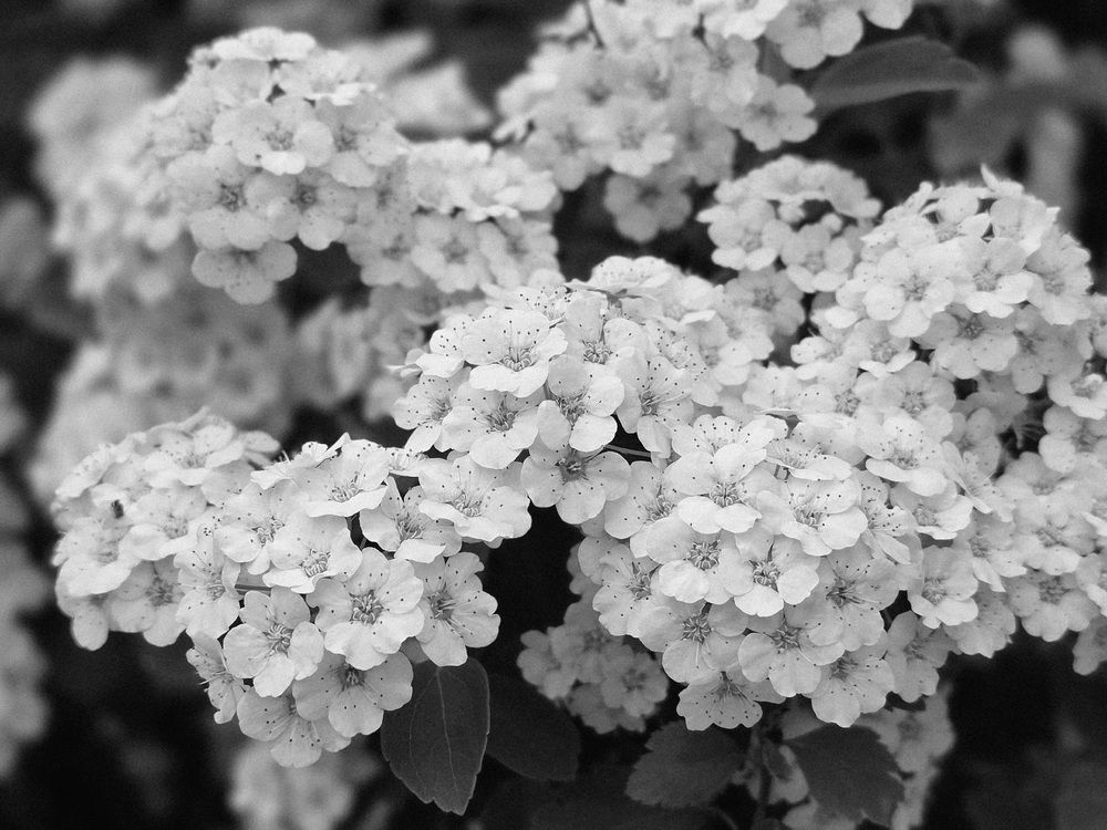 Photograph by Куделенко Оксана