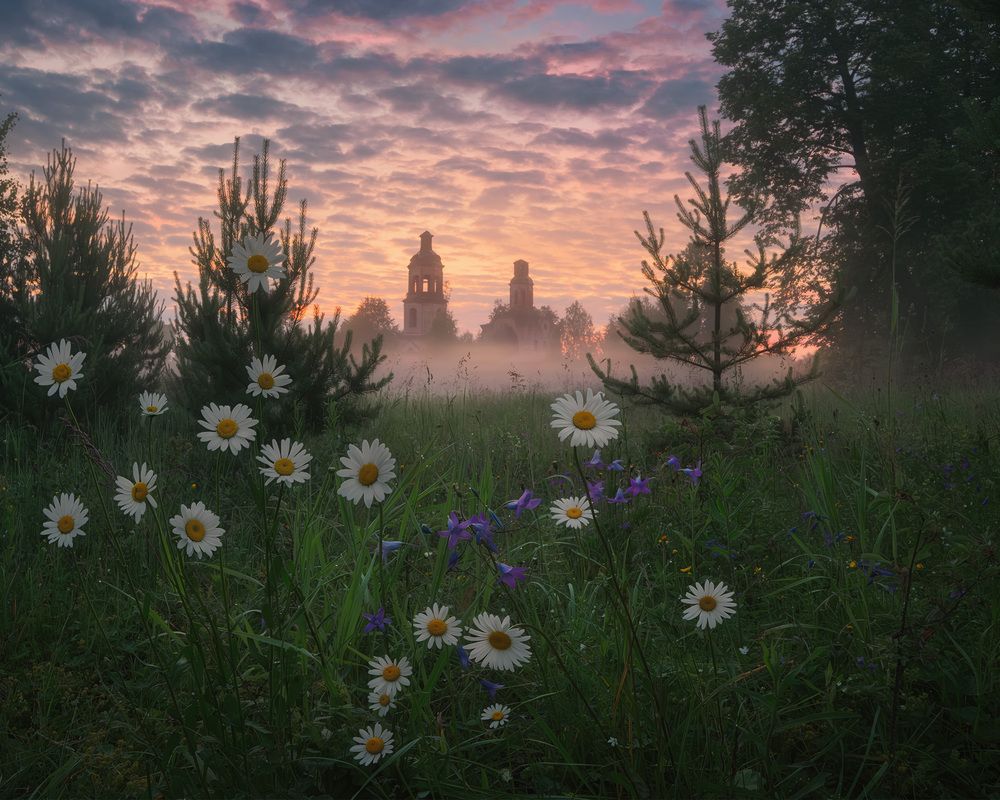 Фотография автора Медянцев Дмитрий