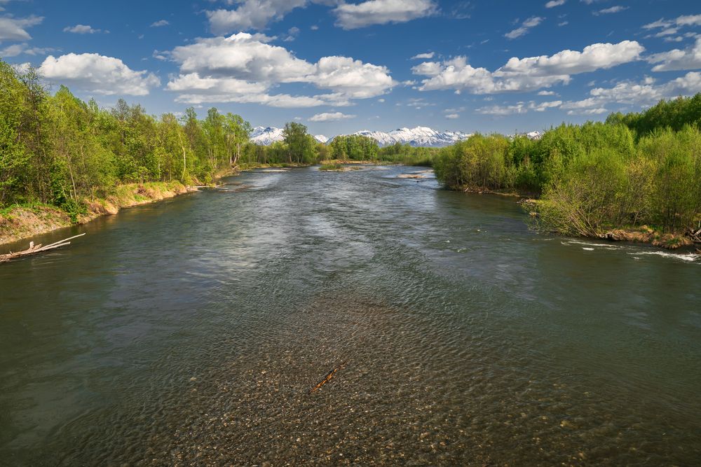 Фотография автора Жора Житников