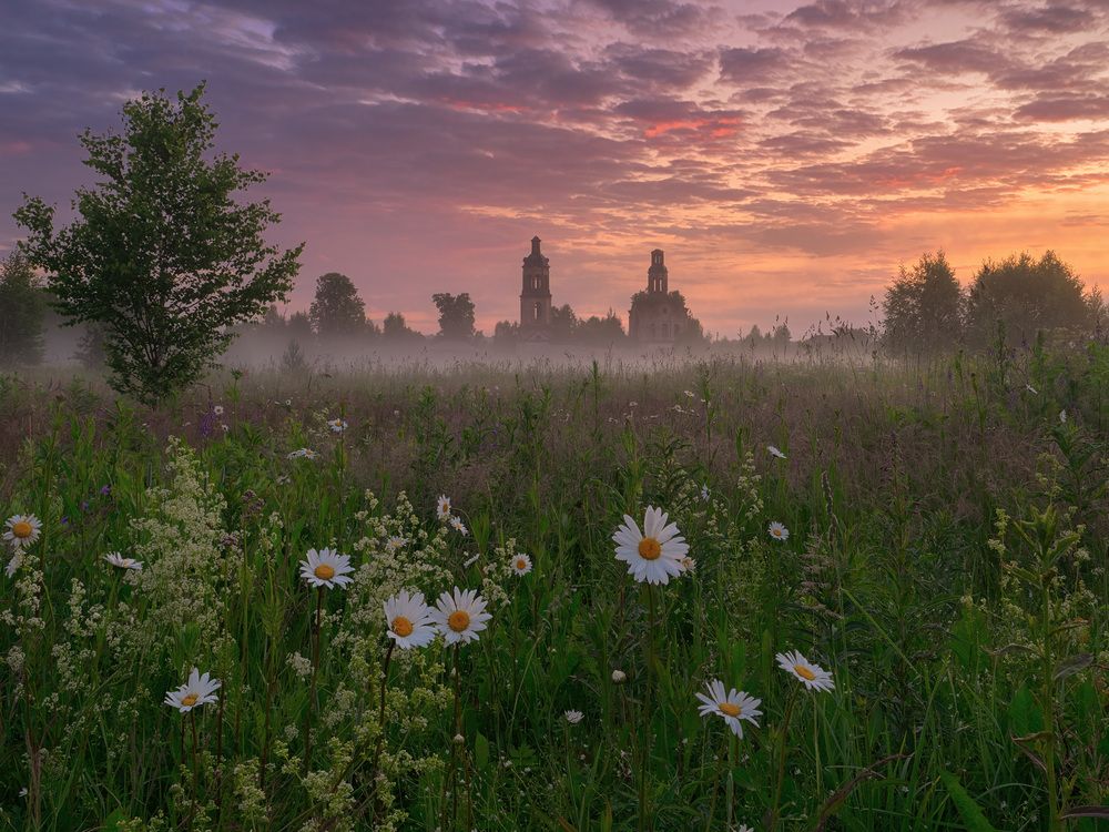 Фотография автора Медянцев Дмитрий