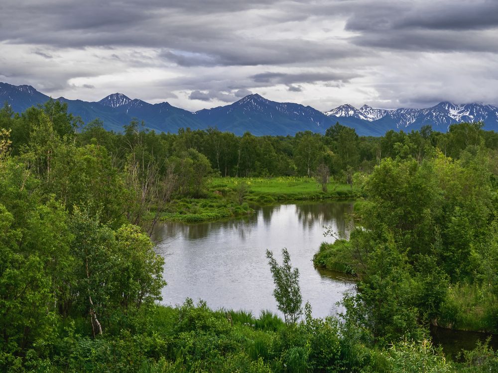 Фотография автора Жора Житников