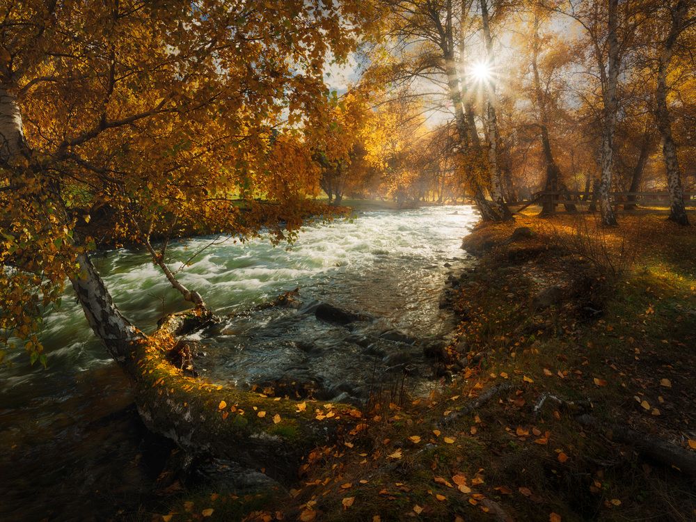 Photograph by Dmitry Medyancev