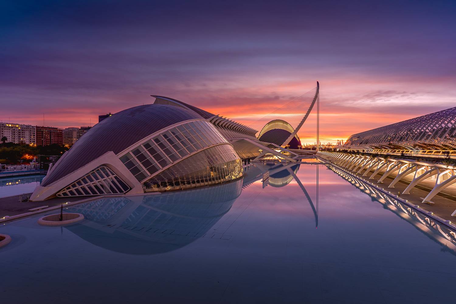 Фотография #13187610